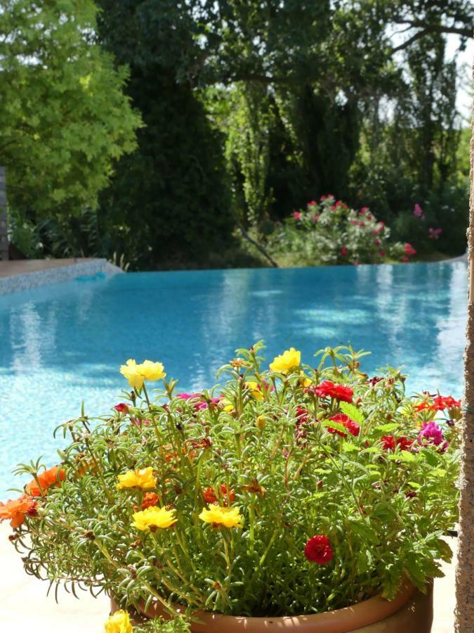 Villa Aigues Vives Boutenac Экстерьер фото